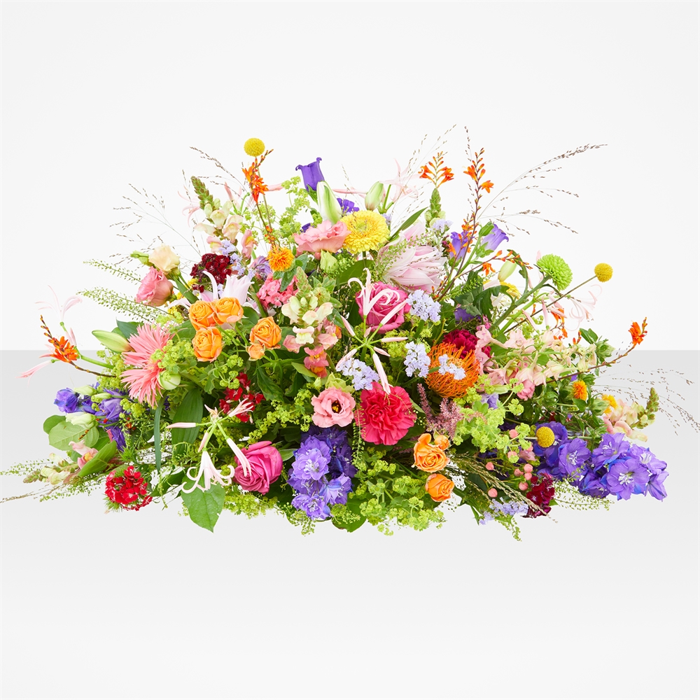 Kleurenpracht